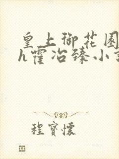 皇上御花园hlh霍冶臻小说