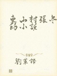 东山村张冬杨翠的小说