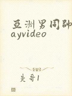 亚洲男同帅哥gayvideo