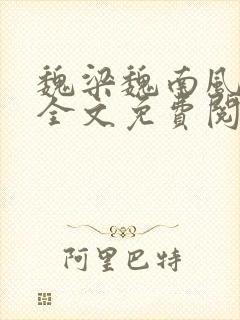 魏梁魏南风po全文免费阅读笔趣阁封面