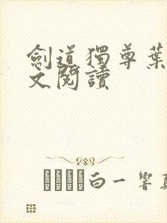 剑道独尊叶尘全文阅读