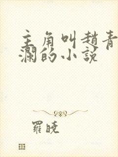主角叫赵青林安澜的小说封面