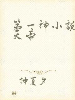 第一神小说万古天帝封面