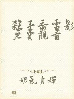 杀手乔电影完整免费观看