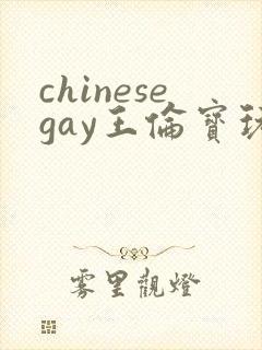 chinesegay王伦宝玩奴