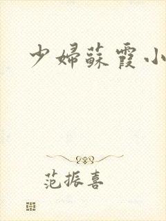 少妇苏霞小说封面