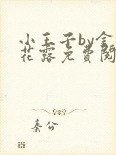 小王子by金银花露免费阅读笔趣阁