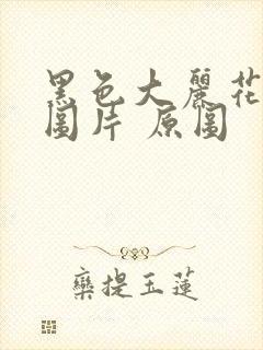 黑色大丽花真实图片 原图