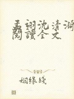 孟翊沈清漪免费阅读全文封面