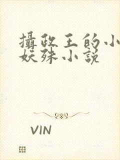 摄政王的小闲妻妖殊小说