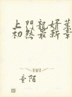 上门龙婿叶辰萧初然最新章节免费阅读