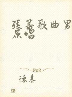 张蔷歌曲男朋友原唱