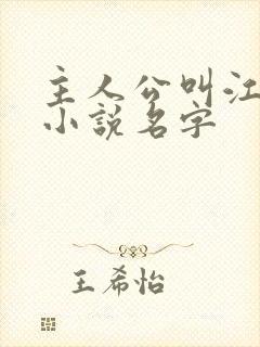 主人公叫江晨的小说名字