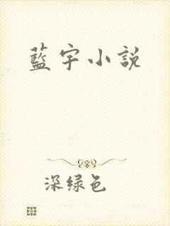 蓝宇小说
