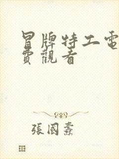 冒牌特工电影免费观看