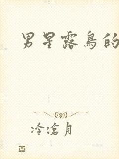 男星露鸟的电影