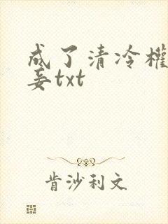 成了清冷权贵侍妾txt