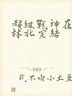 超级战神在都市林北完结封面