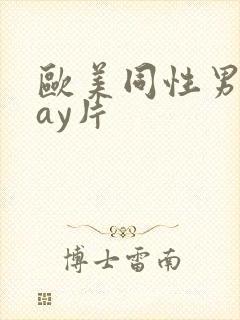 欧美同性男男gay片