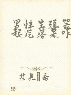 男性生殖器部位起疙瘩是咋回事