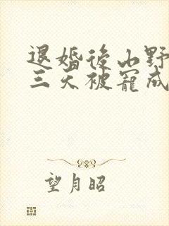 退婚后山野糙汉三天被宠成宝小说