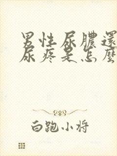 男性尿脓还有点尿疼是怎么回事封面