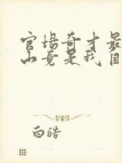 官场奇才最强靠山竟是我自己免费阅读正版