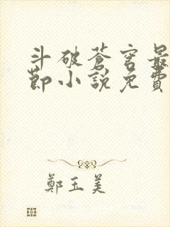 斗破苍穹最新章节小说免费阅读