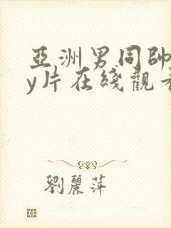 亚洲男同帅gay片在线观看