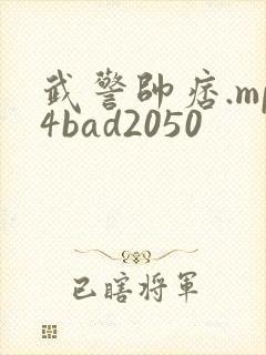武警帅痞.mp4bad2050封面