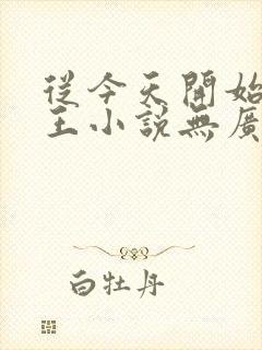 从今天开始做藩王小说无广告