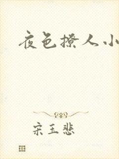夜色撩人小说