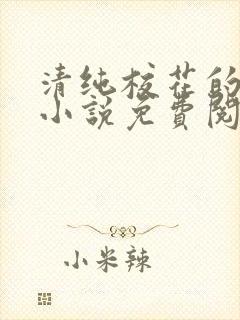 清纯校花的秘密小说免费阅读