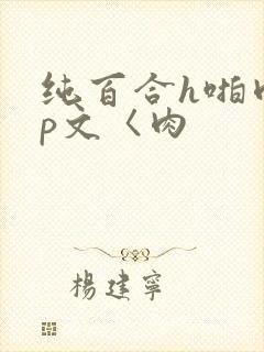 纯百合h啪肉np文〈肉封面