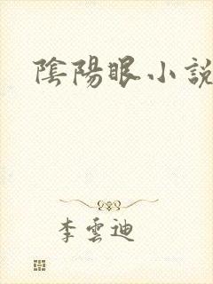 阴阳眼小说