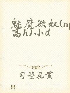 魅魔欲奴(np高h)小d