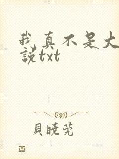 我真不是大佬小说txt