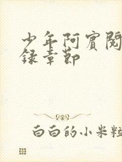 少年阿宾阅读目录章节