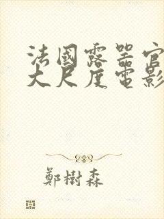 法国露器官做爰大尺度电影老枪封面