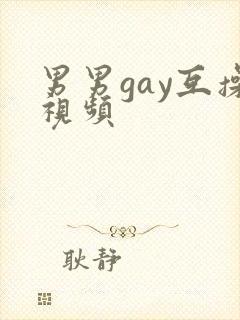 男男gay互操视频