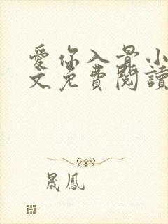 爱你入骨小说全文免费阅读