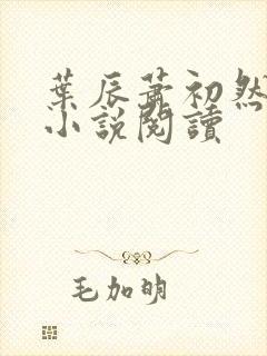 叶辰萧初然免费小说阅读