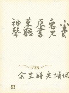 神墓辰东小说有声听书免费