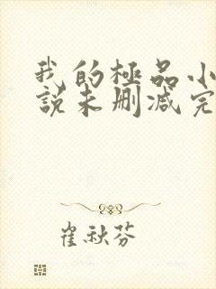 我的极品小姨小说未删减完整版