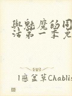 与魅魔的同居生活第一季免费观看全集高清