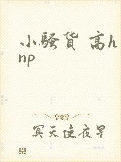 小骚货 高h np
