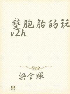 双胞胎的玩具1v2h