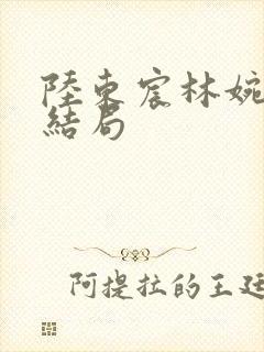 陆东宸林婉秋大结局封面