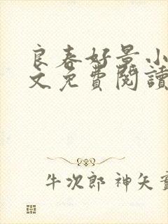 良春好景小说全文免费阅读无弹窗