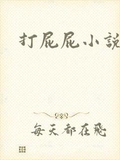 打屁屁小说封面